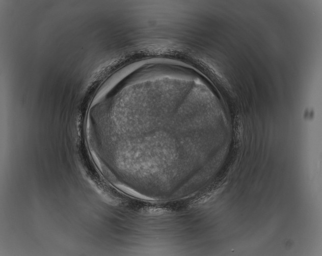 X0000088870590200707061349