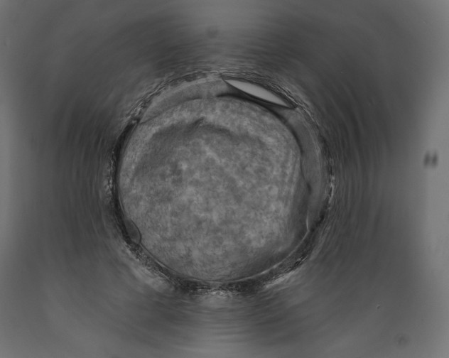 X0000088870593200707061349