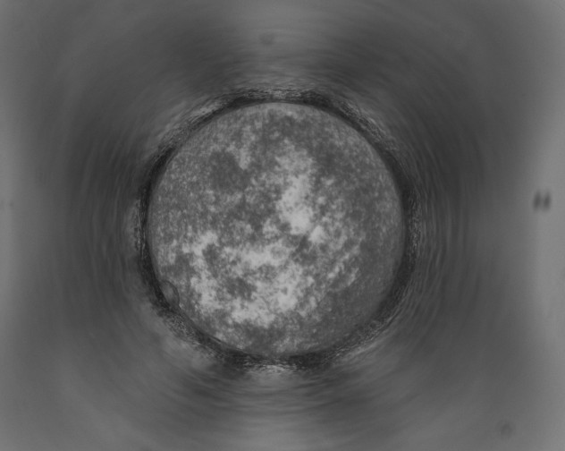 X0000088870594200707061349
