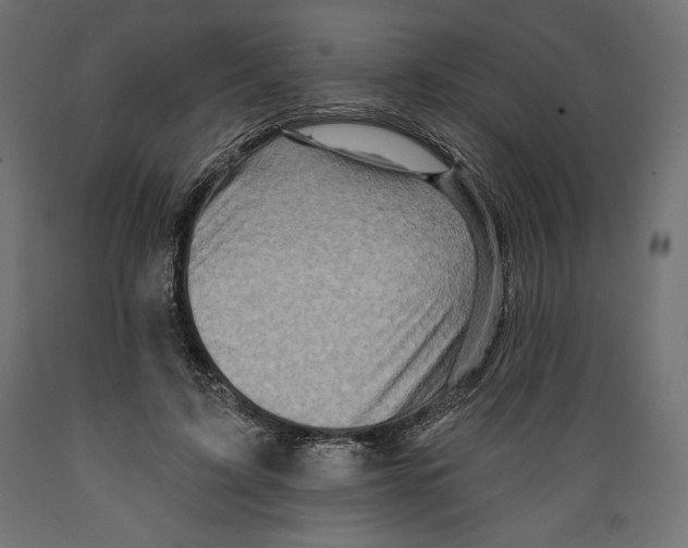 X0000088870595200707061349
