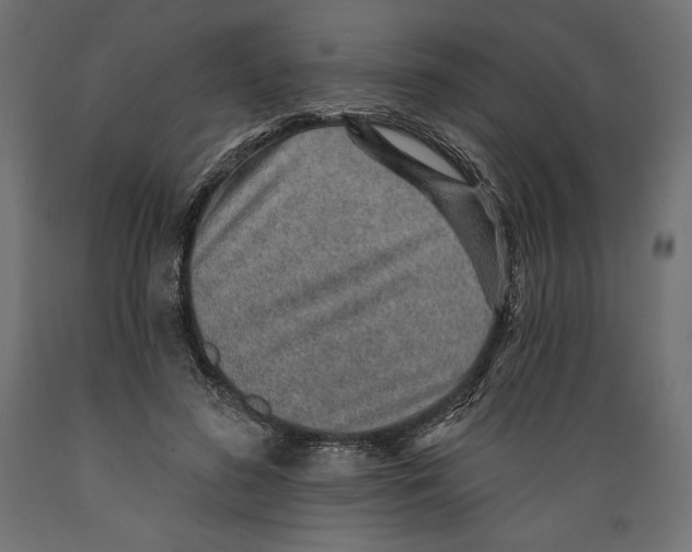 X0000088870596200707061349