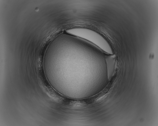 X0000088870597200707061349