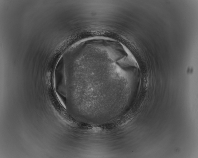 X0000088870598200707061349