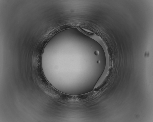 X0000088870600200707061349