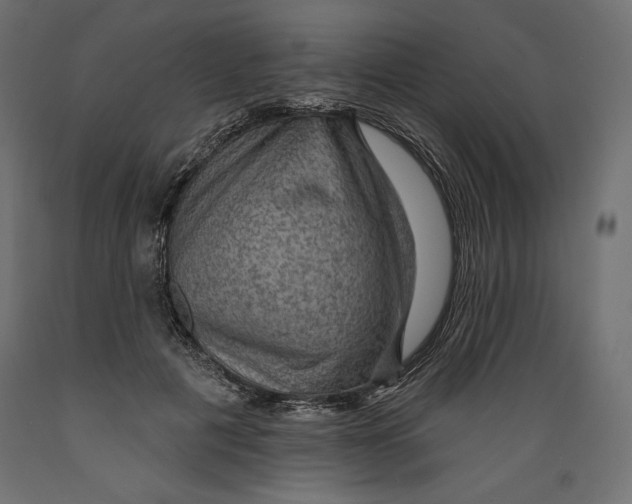 X0000088870601200707061349