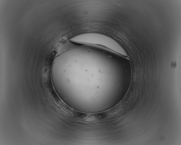 X0000088870604200707061349