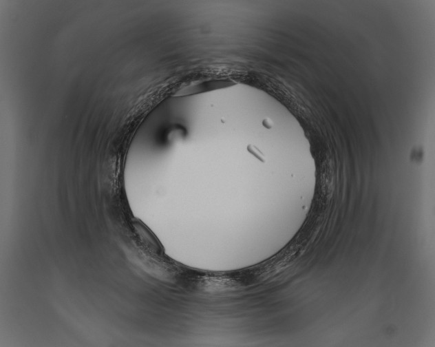 X0000088870605200707061349