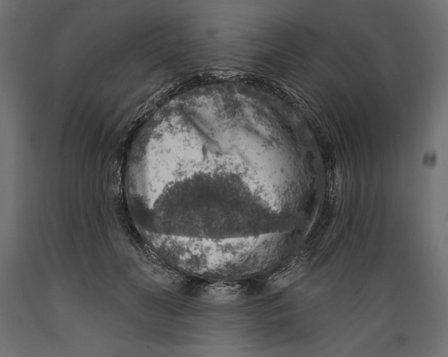 X0000088870606200707061349