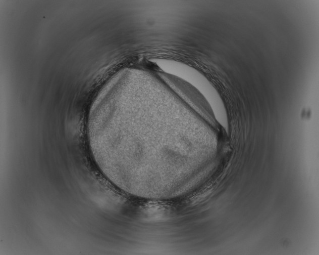 X0000088870608200707061349