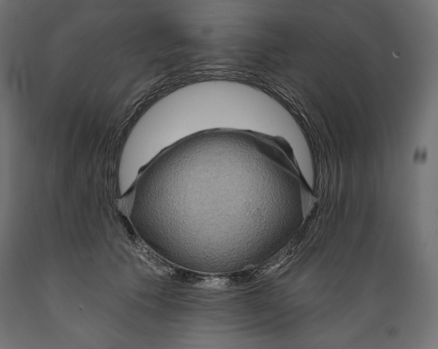 X0000088870609200707061349