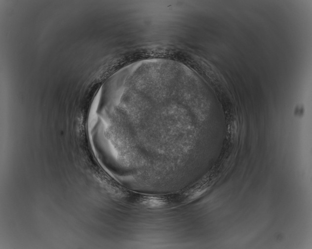 X0000088870610200707061349