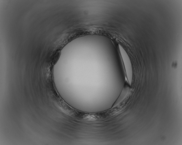 X0000088870611200707061349