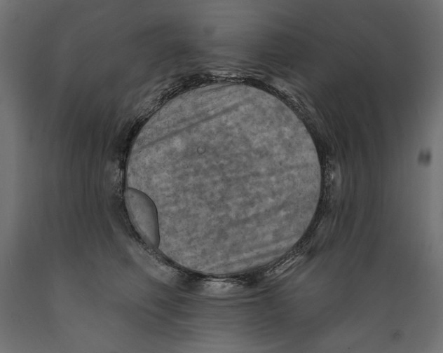 X0000088870614200707061349
