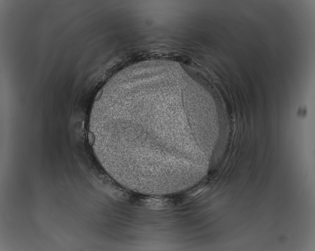 X0000088870615200707061349