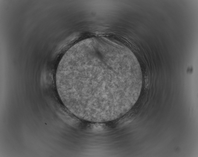 X0000088870618200707061349