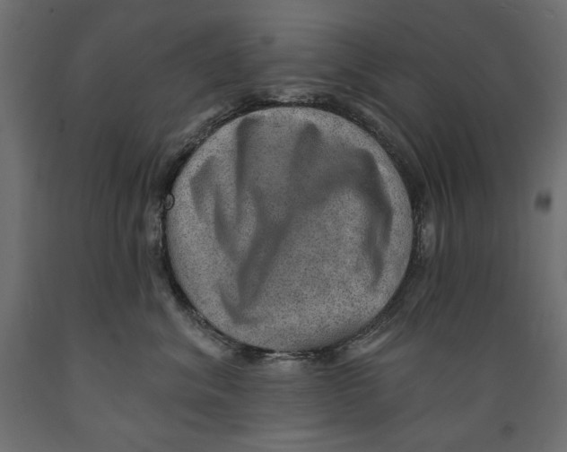 X0000088870620200707061349