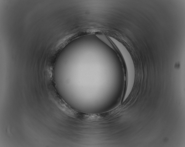 X0000088870621200707061349