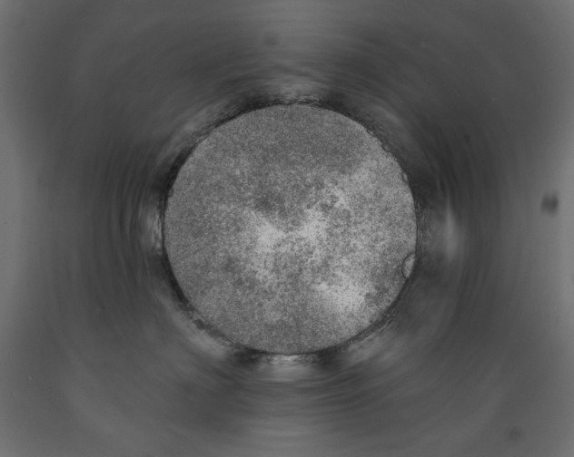 X0000088870622200707061349