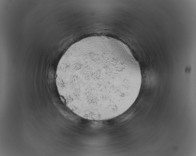 X0000088870623200707061349