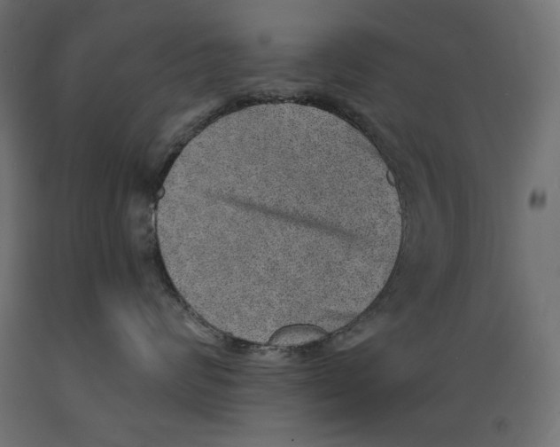 X0000088870624200707061349