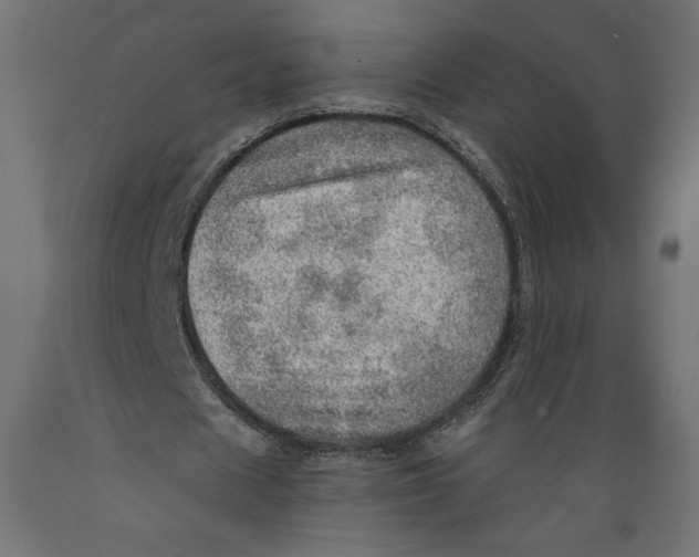 X0000088870625200707061348