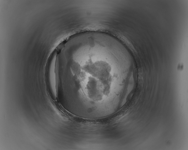 X0000088870626200707061348