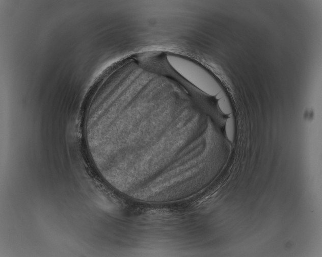 X0000088870628200707061348