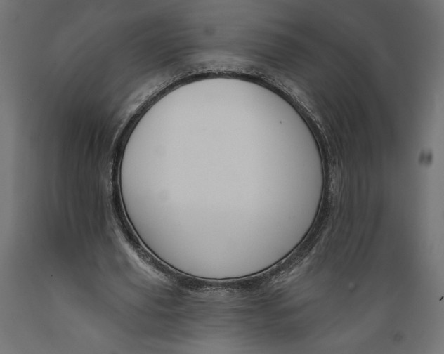 X0000088870629200707061348