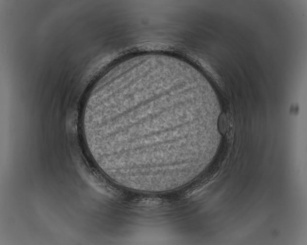 X0000088870631200707061348