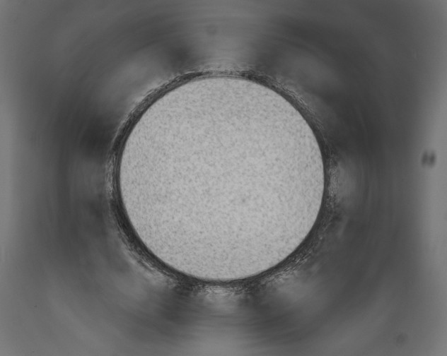 X0000088870632200707061348