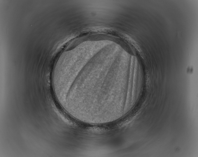 X0000088870633200707061348