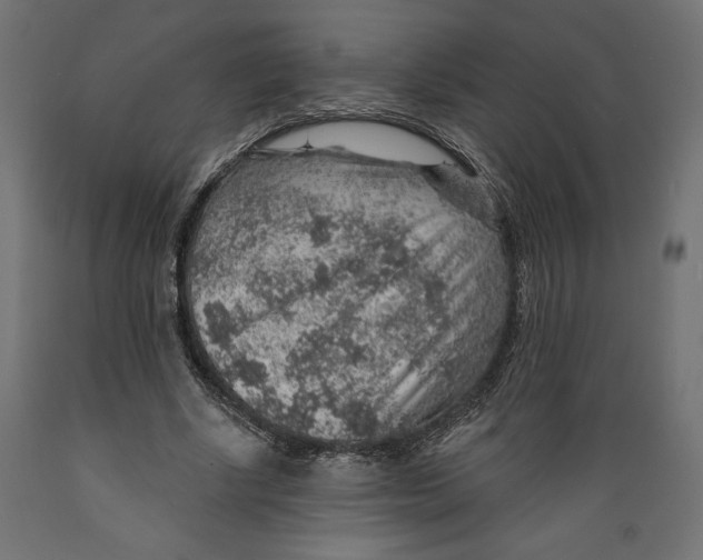 X0000088870634200707061348