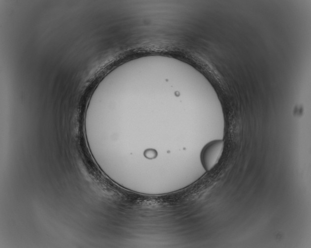 X0000088870635200707061348