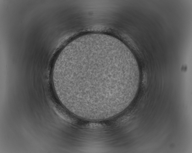 X0000088870636200707061348