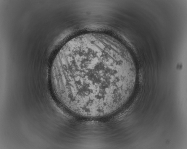 X0000088870637200707061348
