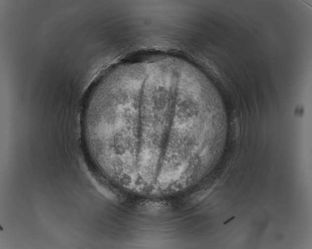 X0000088870638200707061348