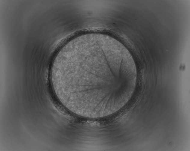 X0000088870640200707061348