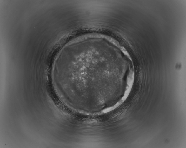 X0000088870643200707061348