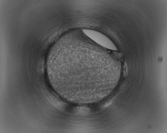 X0000088870644200707061348