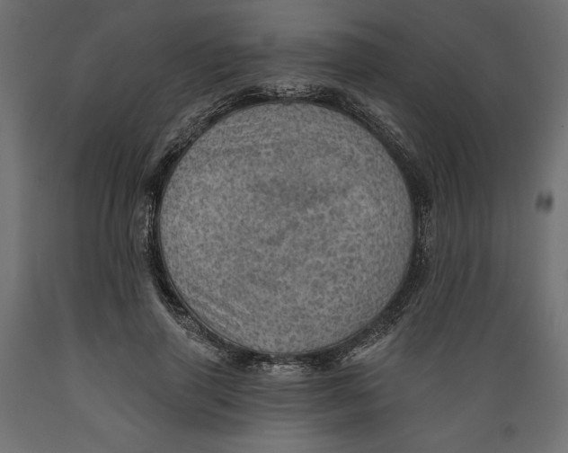 X0000088870645200707061348