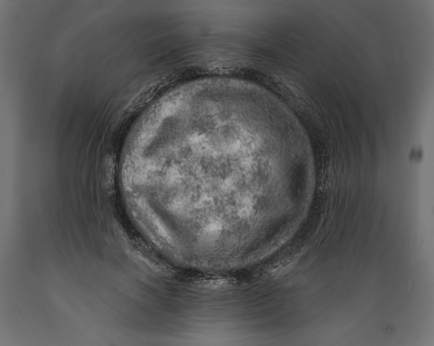X0000088870646200707061348