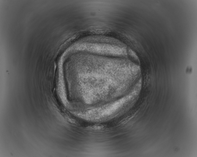 X0000088870647200707061348