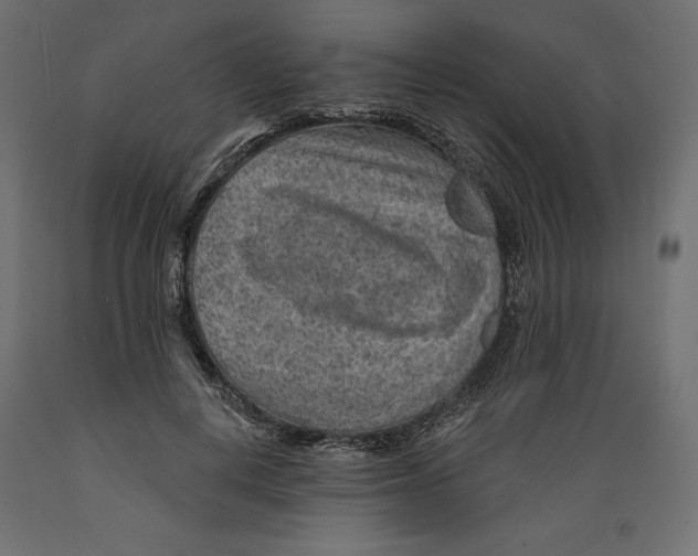 X0000088870648200707061348