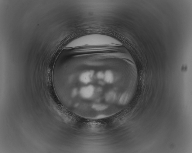 X0000088870650200707061348