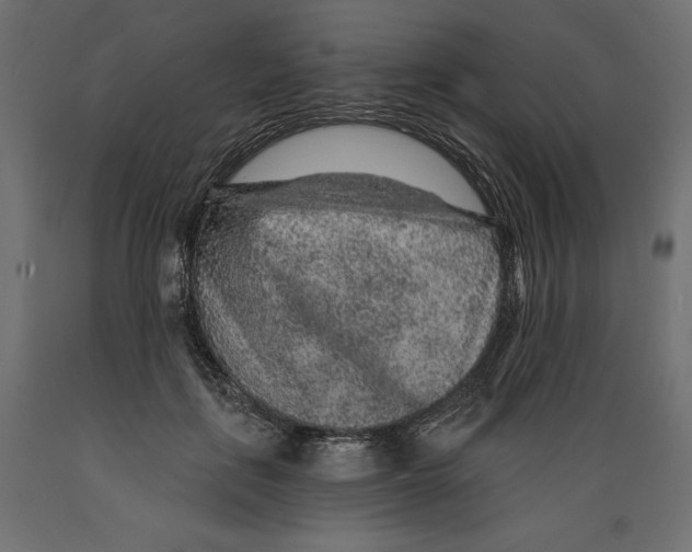 X0000088870651200707061348