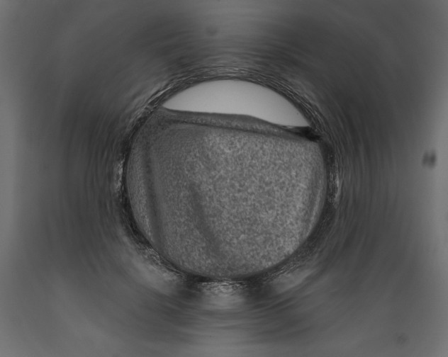 X0000088870652200707061348
