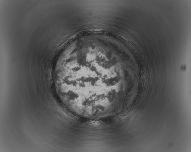 X0000088870654200707061348