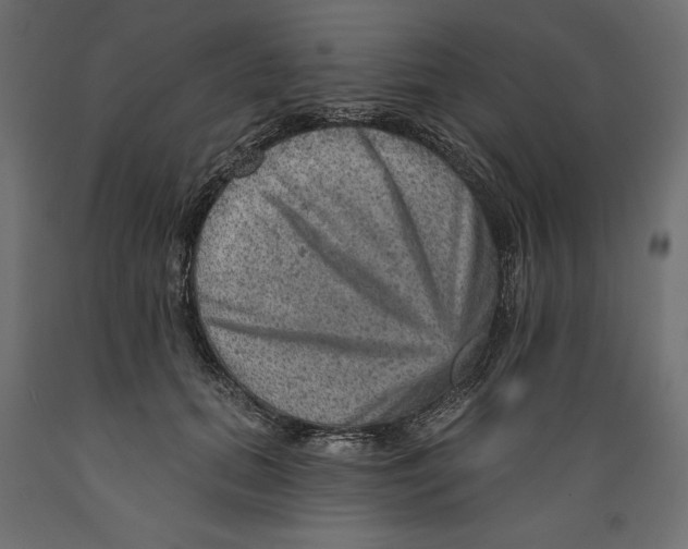 X0000088870655200707061348