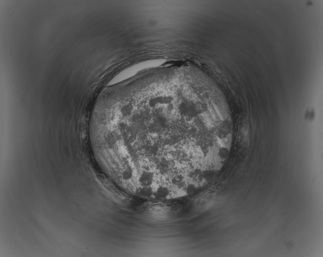 X0000088870658200707061348