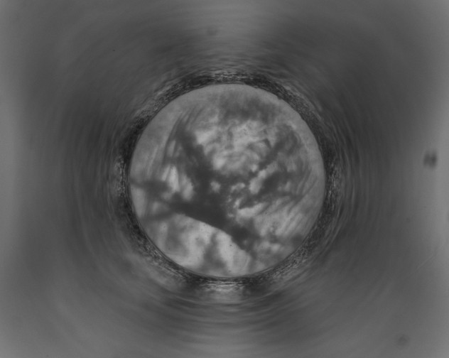 X0000088870659200707061348